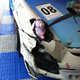 Illustration for article titled If All Else Fails, Blame Fluffy Bunny For Your Race Cars Problems